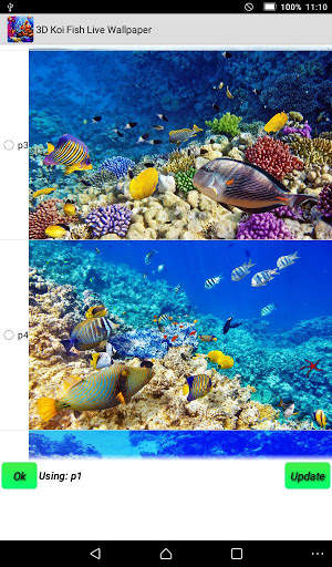 Koi Fish Live Wallpaper screenshot 8