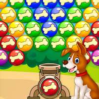 Bubble Dog