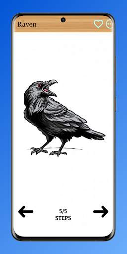 How to Draw Birds of Prey screenshot 7
