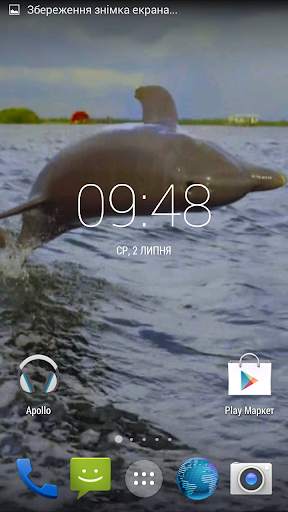 Dolphin 3d. Video Wallpaper स्क्रीनशॉट 4