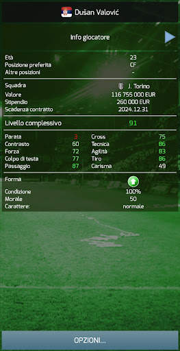 True Football 3 screenshot 4