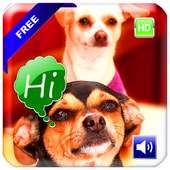 Baby Games Free All and New