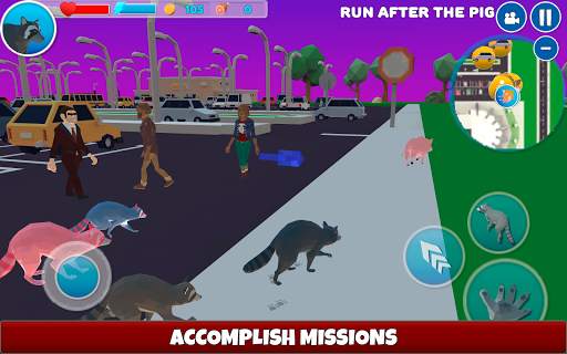 Raccoon Adventure Simulator 3D screenshot 2