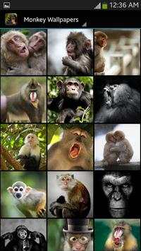 Monkey Wallpapers screenshot 2