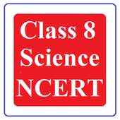 Class 8 Science Ncert Solution 6.6