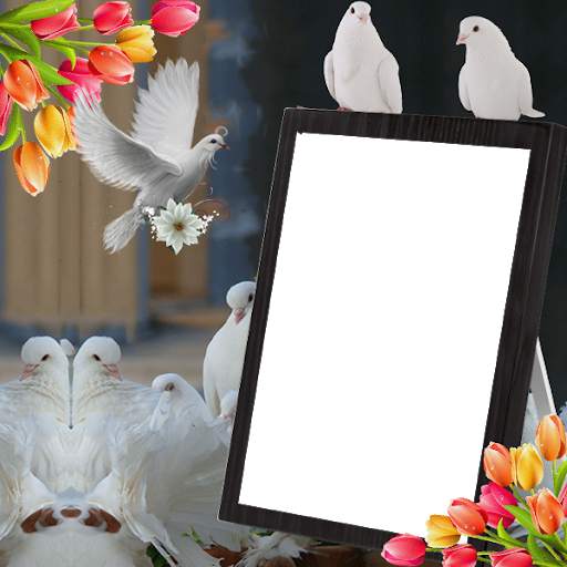 Dove Insta DP 3 تصوير الشاشة
