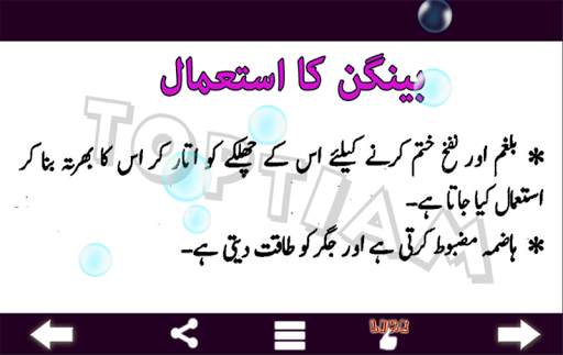 Sabzio Se Ilaj : Urdu screenshot 7