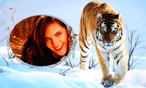 Tiger Photo Frames screenshot 7