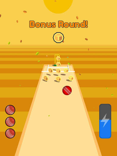 Cricket Bowling screenshot 7
