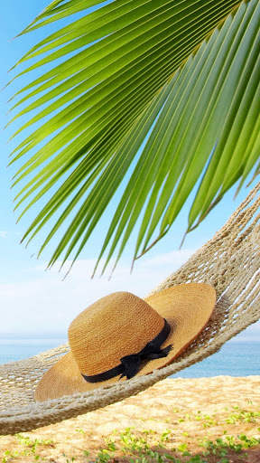 Summer Wallpapers : backgrounds hd screenshot 1