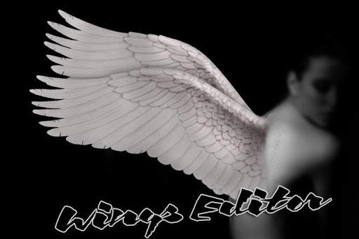 Wings Photo Editor screenshot 3