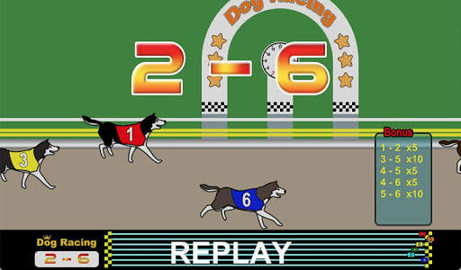 Dog Racing screenshot 12