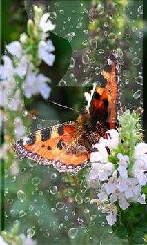 Dragonflies and Butterflies live wallpaper screenshot 2