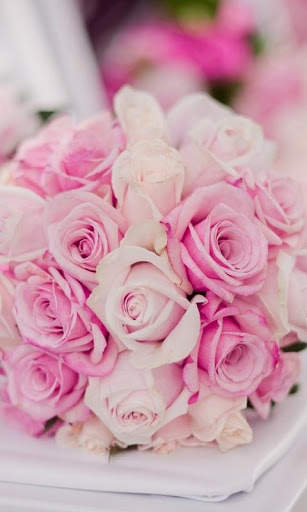 Rosa Live Wallpaper screenshot 5