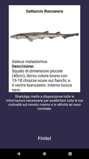SharkApp screenshot 7