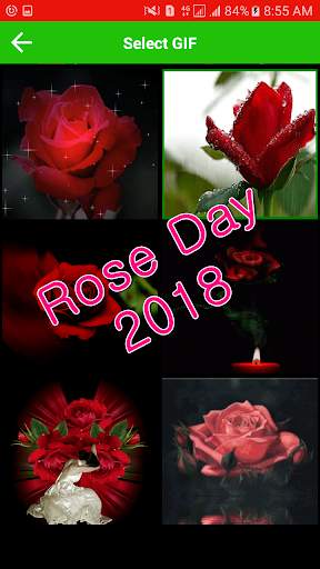 Rose Day Gif & Images 3 تصوير الشاشة