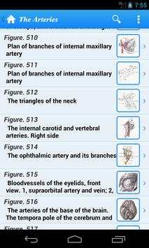 Gray's Anatomy Lite screenshot 1
