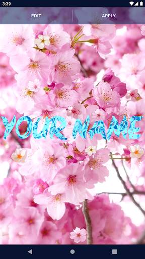 Sakura Flower Live Wallpaper screenshot 2