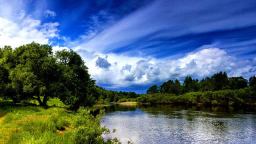 Summer Wallpapers : backgrounds hd screenshot 18