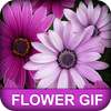 Flower GIF on 9Apps