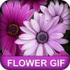 Flower GIF 3.0