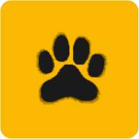 See More on 9Apps