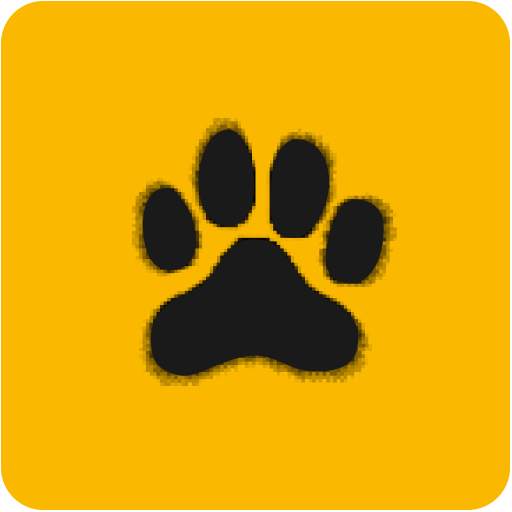 See More 2.8.2
