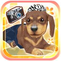 My Dog My Room logo