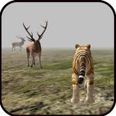 tiger wild crush 1.0