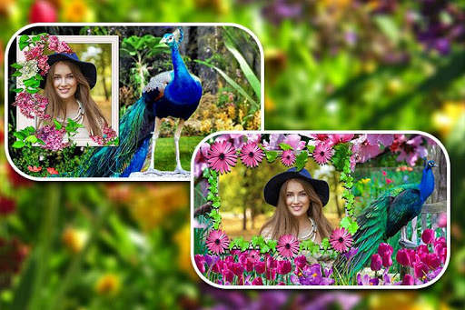 Peacock Photo Frames screenshot 5