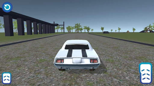 Acrobat Rally screenshot 2