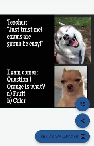 Funny Memes & Jokes Quotes screenshot 1