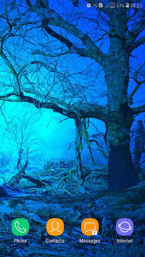 Forest Wallpaper screenshot 5