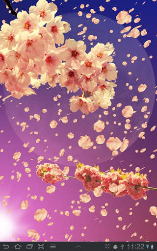 Sakura Free Live Wallpaper screenshot 8