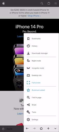 Blink browser screenshot 1