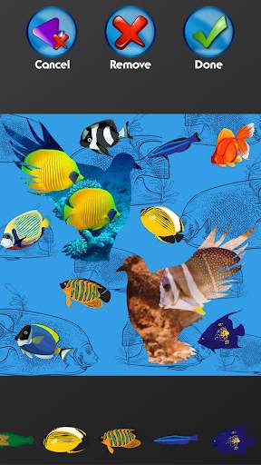 Fish Photo Collage Maker screenshot 7