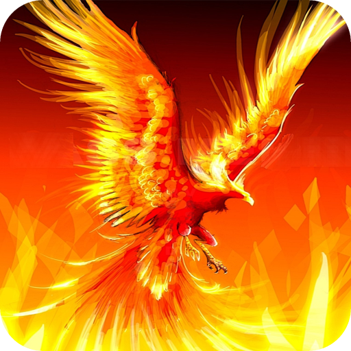 Fire Wallpaper Best 4K icon