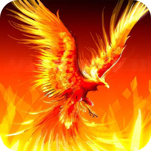 Fire HD Wallpaper 1.12