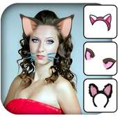 Cat Face Photo Edito
