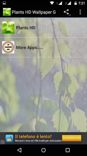 Plant HD Wallpaper screenshot 1