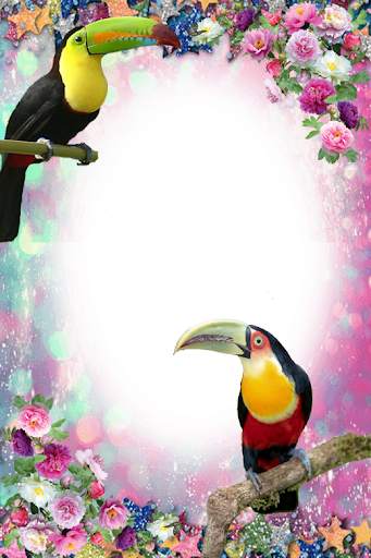 Birds Photo Frames स्क्रीनशॉट 5