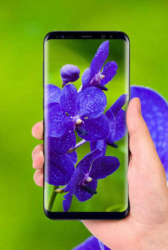 Orchids 3D Free Live Wallpaper screenshot 7