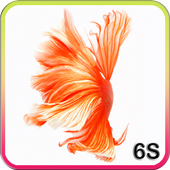 Betta Fish 6S Live Wallpaper icon