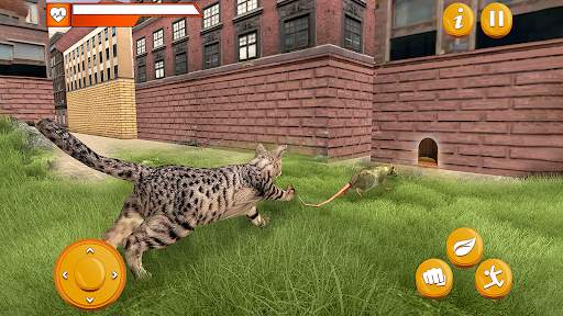 Stray Mouse Family Simulator screenshot 7