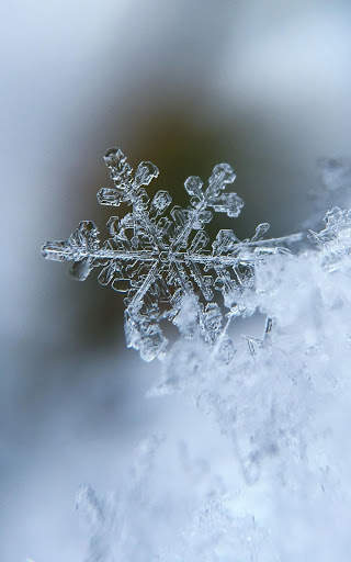 Winter Wallpapers | hd backgrounds screenshot 3