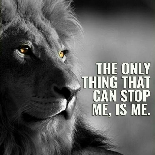 Daily Positive Life Quotes &amp; Sayings icon