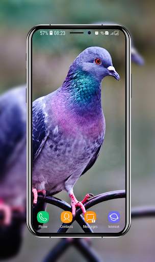 Birds Wallpaper screenshot 9