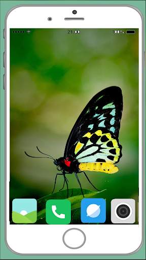 Butterfly Full HD Wallpaper screenshot 8
