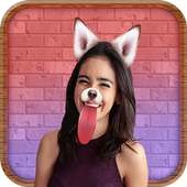 Snap Photo Editor logo