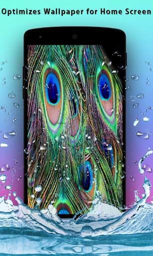 Peacock Feather Live Wallpaper screenshot 6